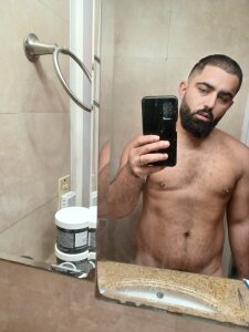 Zayn_Stallion