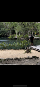 OsvaldOo8 Public Poză 4