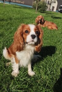 CyberMia My important part of life Pic 2