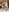 bunnys_bells sexy lesbians Pic