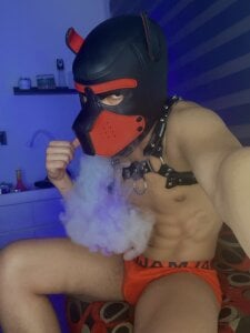 zamir333 PUPPY OIL รูป  2