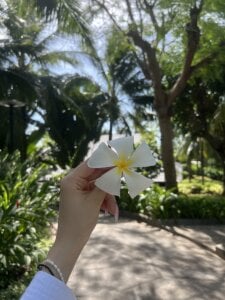 AnitaOwens Vietnam Pic 3