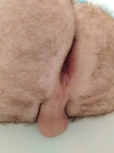 GreenHornyGuy Public Hình 3