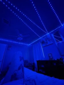 _FsFs Public slika 4