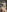 momo_room🍑だよ照片 5