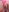 _Bella_Candy_ Brincadeira de leve Photo 9
