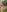 didihairypussy Nude pics Photo 7
