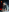 MelodyLoveClubHalloween 2024照片 4