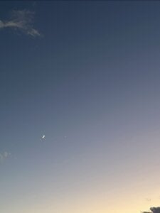 Rui_87 Public Billede