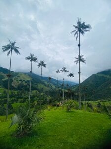 Annita001 SEXYY зображення 5