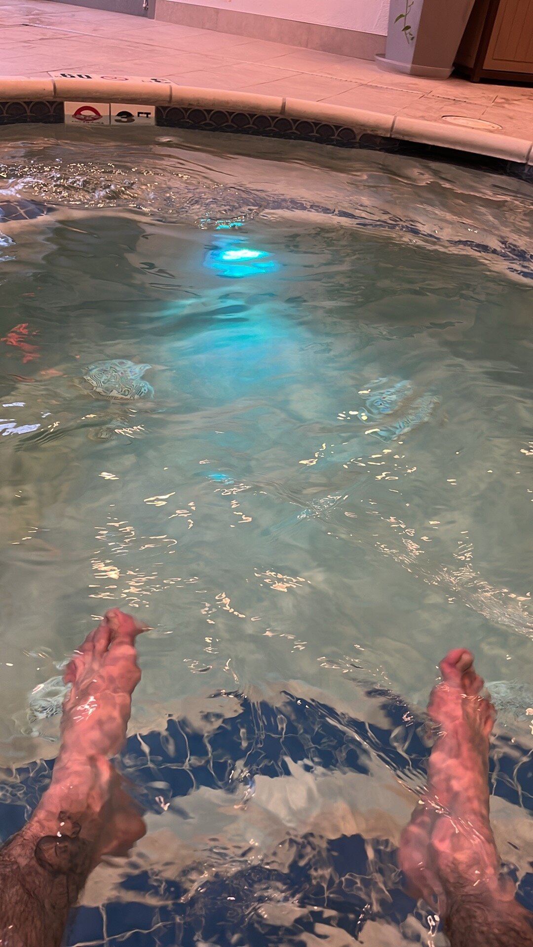 QuenchedBrocade Poză populară 9893