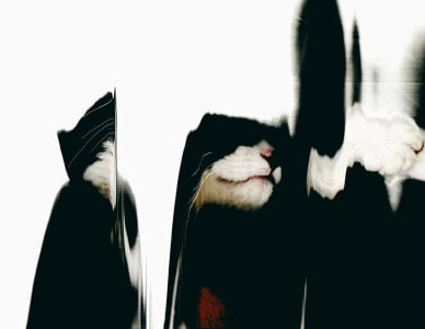 sorry-mom69 my works, my art Pic 9