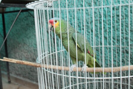 Ganstafaraii's me Sex Photo 3