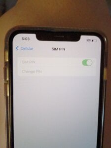 Peterbilt11 Public Pic 2