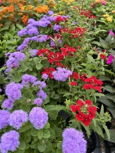 embarrassedbolt966 Me Pic