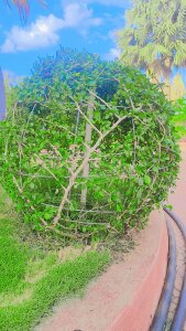 ResponsibleGuide2 Desi hot Pic