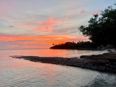 Ary_Coral555 Public Pic 3