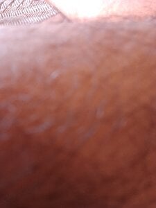 arpitverma0723 Gallery 1 Pic