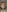 Sophiesinxx: NUDESSS & lots of them! ( 4 фото)