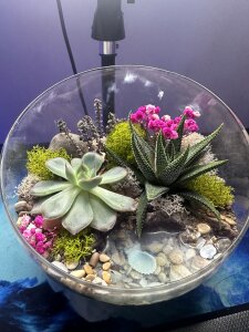 ❤️❤️❤️ THANK YOU ❤️❤️❤️ de Natuella_Luxe  8 photos