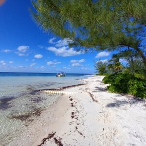 FeetForTips Public Pic