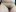 shantal_smith9 Hairy Hairy Hairy Pic 9