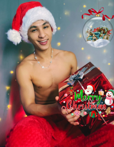 liuscast22 Christmas 2024 Pic