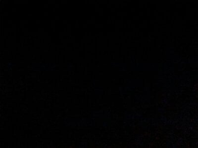 Pistacchio01 NIENTE Pic 5