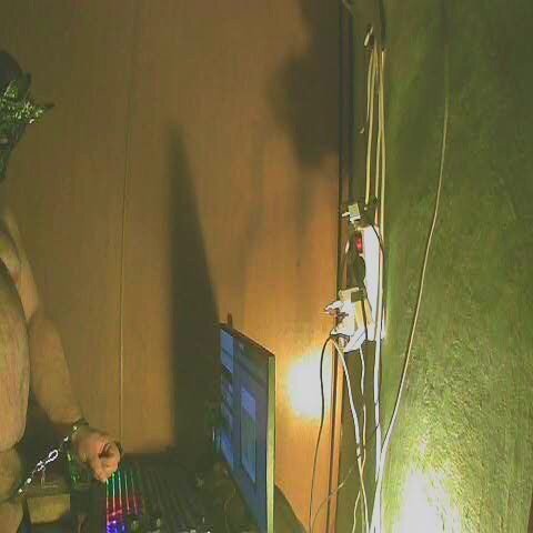 صور perversalus الرائجة  6009