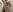 VenusIslove Shower 😏 사진 4