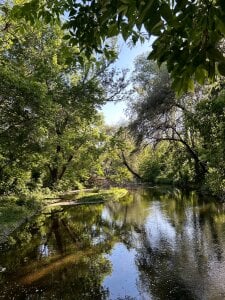 leslie_bird Listen to the wind—it knows the way🍃 зображення 2