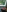 Spandana_Sweety VIBRATOR FUCKING Pic 6