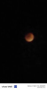 nehacplsex Public 圖片 3