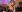 Ivey_and_James XL Double Anal Dildo and XL Plug Play Photo 8
