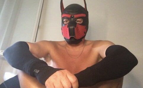 Maskpor2022 Public Foto