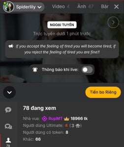 SpiderIily A quiet presence 사진 5