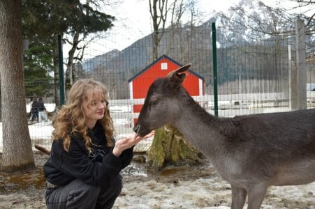 ElfieWhite nature and animals ❤️‍🩹 Pic 4