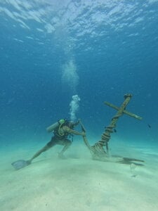 Andrew_Johnnson Mar Pic 4