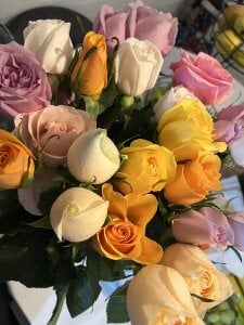 flores y mas flores Diciembre de kaithra  6 photos