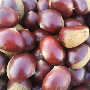 AngelwithEcup 中国人常吃的水果零食Fruit snacks commonly eaten by Chinese people Hình 3