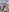 natha_n_andy_anki Nathy naked Pic 2