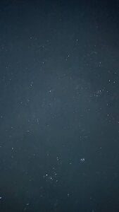 MerlinMeyer 😻😻😻 slika