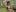 _Soo_dreamy_Wild Oily Muscles图片 3