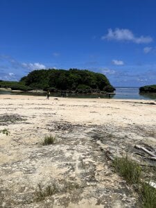 RUI-0721 夏休み♡沖縄 Pic 9