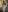 Mia_DixonsFor you照片 5