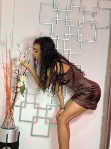 Swan_Duchess Public Bilde