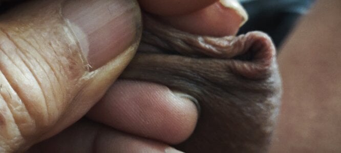 jhonschen's XXX Nude Photo 3