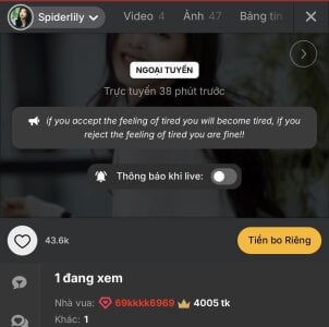 SpiderIily Beacon 사진