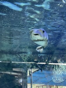 How beautiful nature is🌎 de AresMassimoX  2 photos