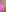 CelestialFoxxx ❤️ FEBRUARY CLUB - 50 Shades of red ❤️ Sweet red lingerie + nude Pic 4